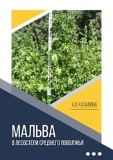 Мальва в лесостепи Среднего Поволжья